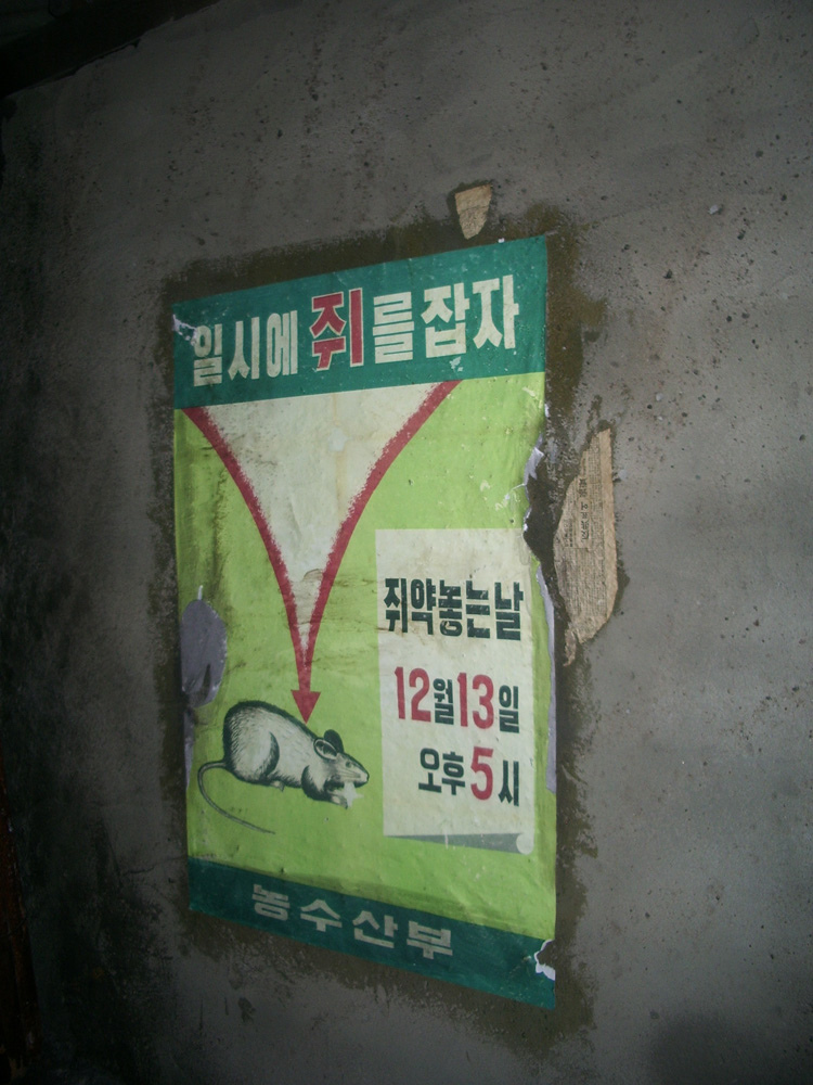 Rat Poison Bait
